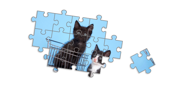 Dein Warenkorb ist leer